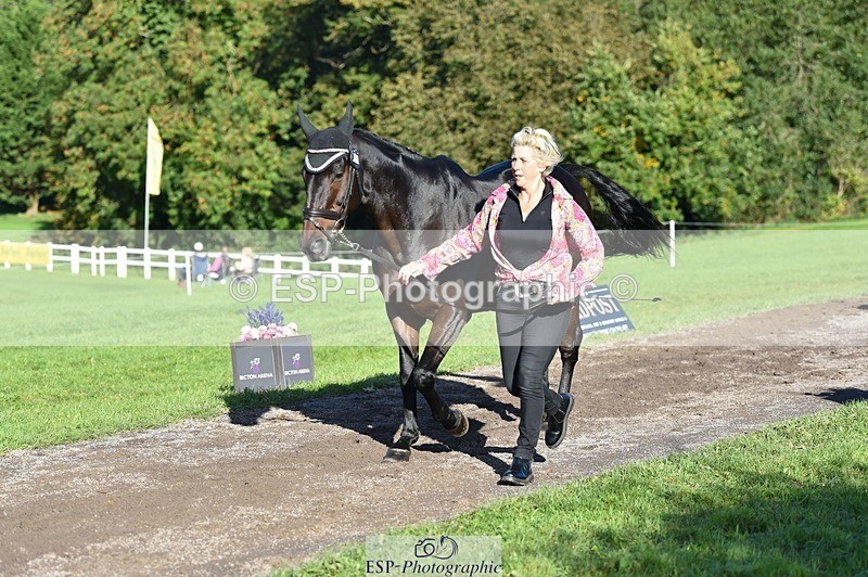 231022-104654-22737 - 464-IMPERIAL.TANGLE-Deborah.Burrell-TrotUp+SJ