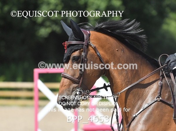 BPP_4653 - CLASS 4 Senior Discovery/ 1m Open