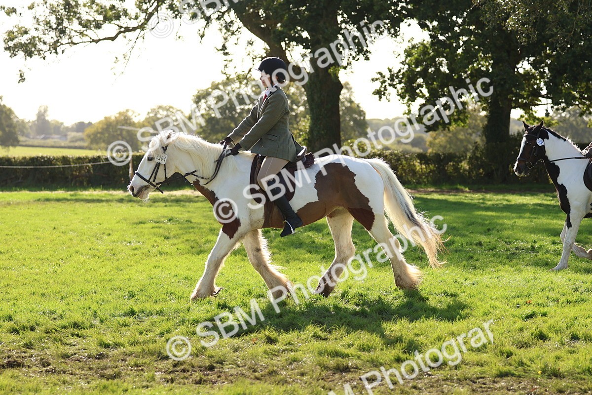 SBM_52442 - S13 - Pony Club Pony