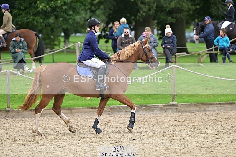 240929-123509-00675 - Cls 2 80-85cm 12.15 to End