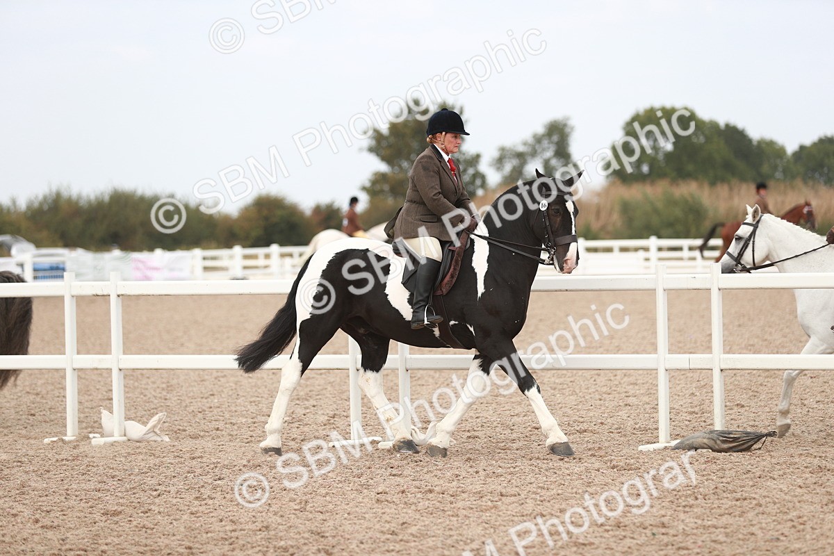 SBM_16610 - Class 214 Ridden Cob