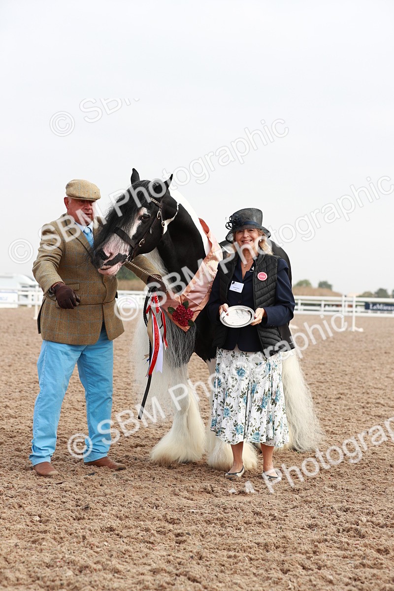 SBM_09566 - Class 201 Best Turned Out IH