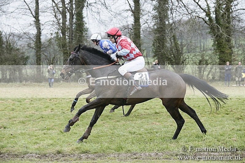 PtP 020418 -236 - Old Berks Point-to-Point Races Easter Monday 02/04/18