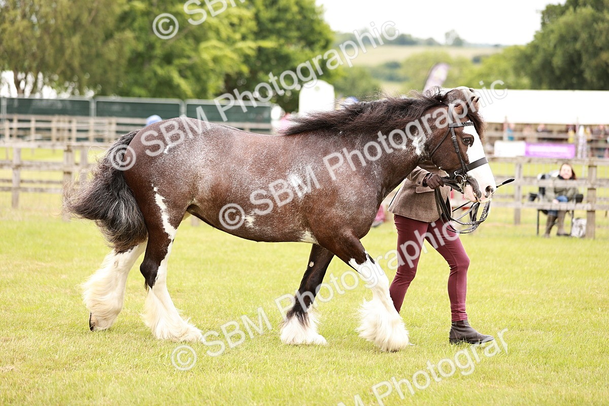 SBM_04621 - Class 5-8 - BSPA In hand