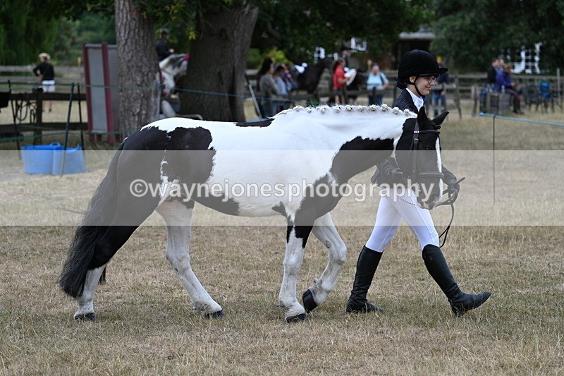 WJ7_8361 - Class 4 Prettiest Mare up to 14.2hh