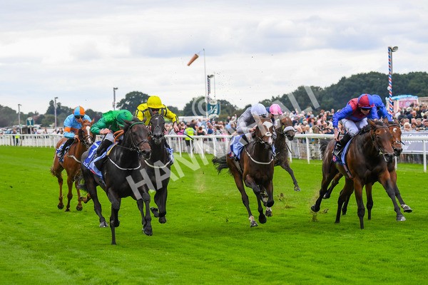 240823-Race 1-Relief Rally-0070 - Race 1 1.50pm Sky Bet Lowther Stakes