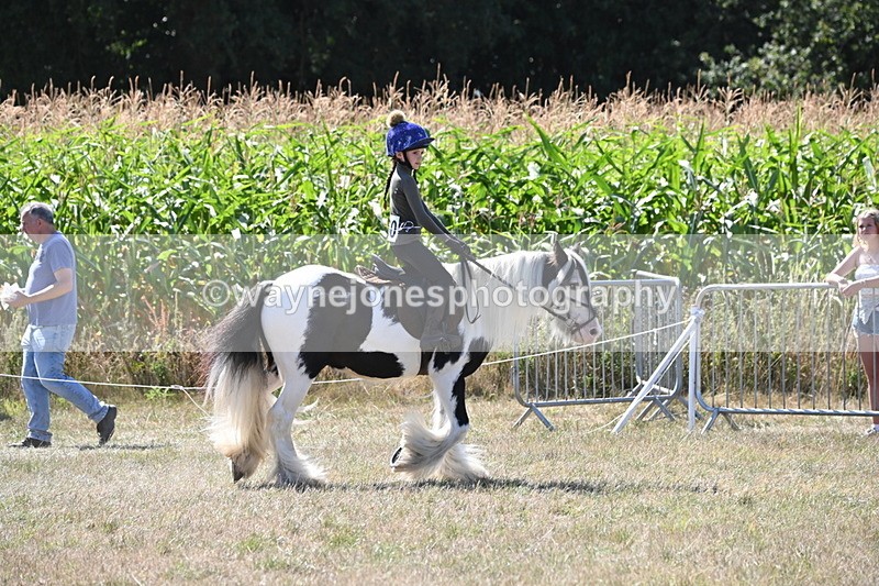 WJ6_8957 - Class 38 Ridden Riding Horse/Pony