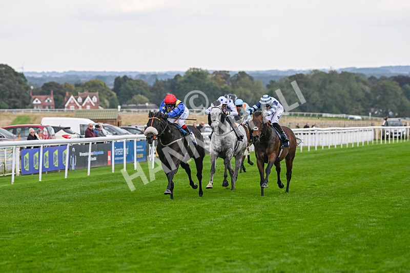 240924-Race 4-Tees Spirit-6226 - Race 4