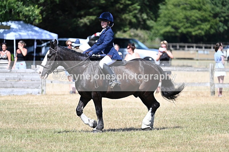 WJ7_3690 - Class 8 Ridden Veterans