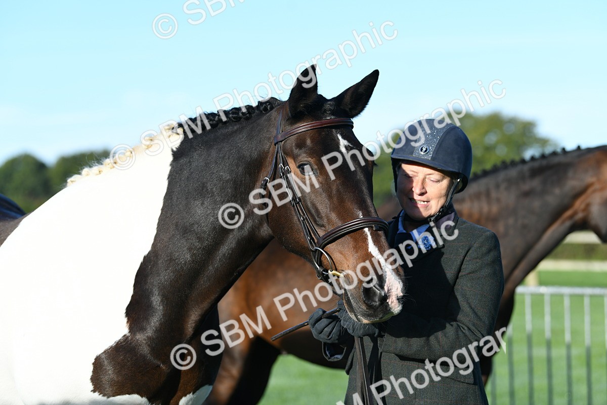SBM_32788 - S15 - Condition & Turnout In Hand