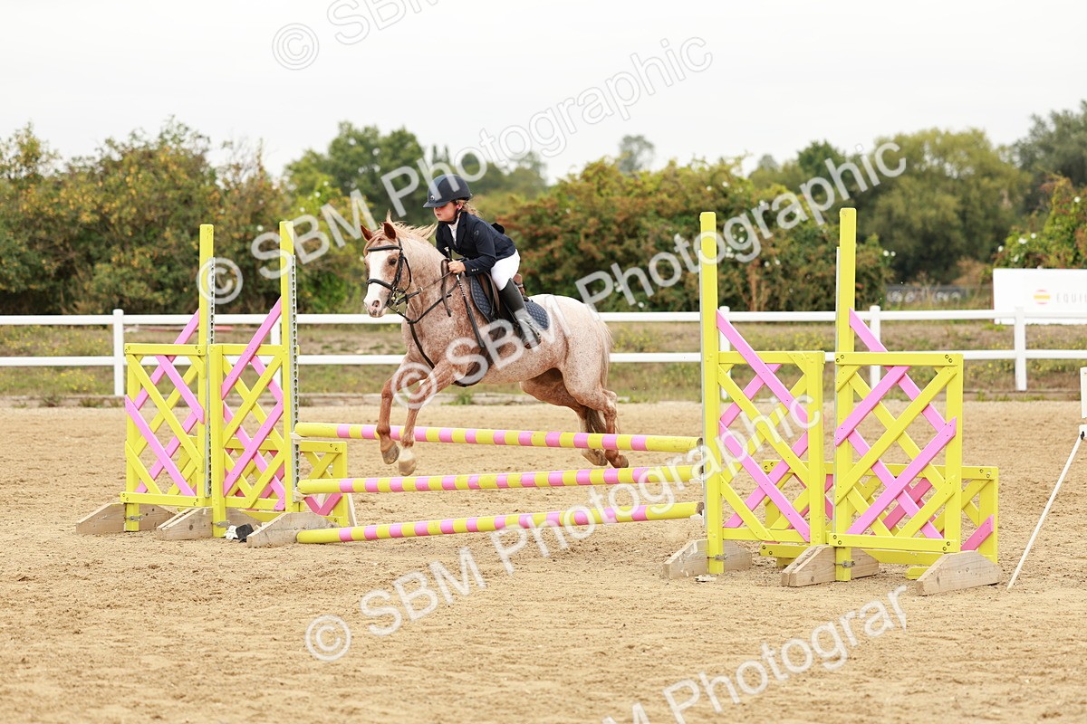 SBM_008410 - Class 5 - 80cm