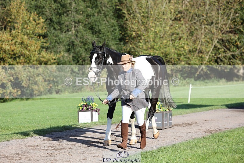 241027-093710-15392 - 454-Judy.Hollidge-CORBETT