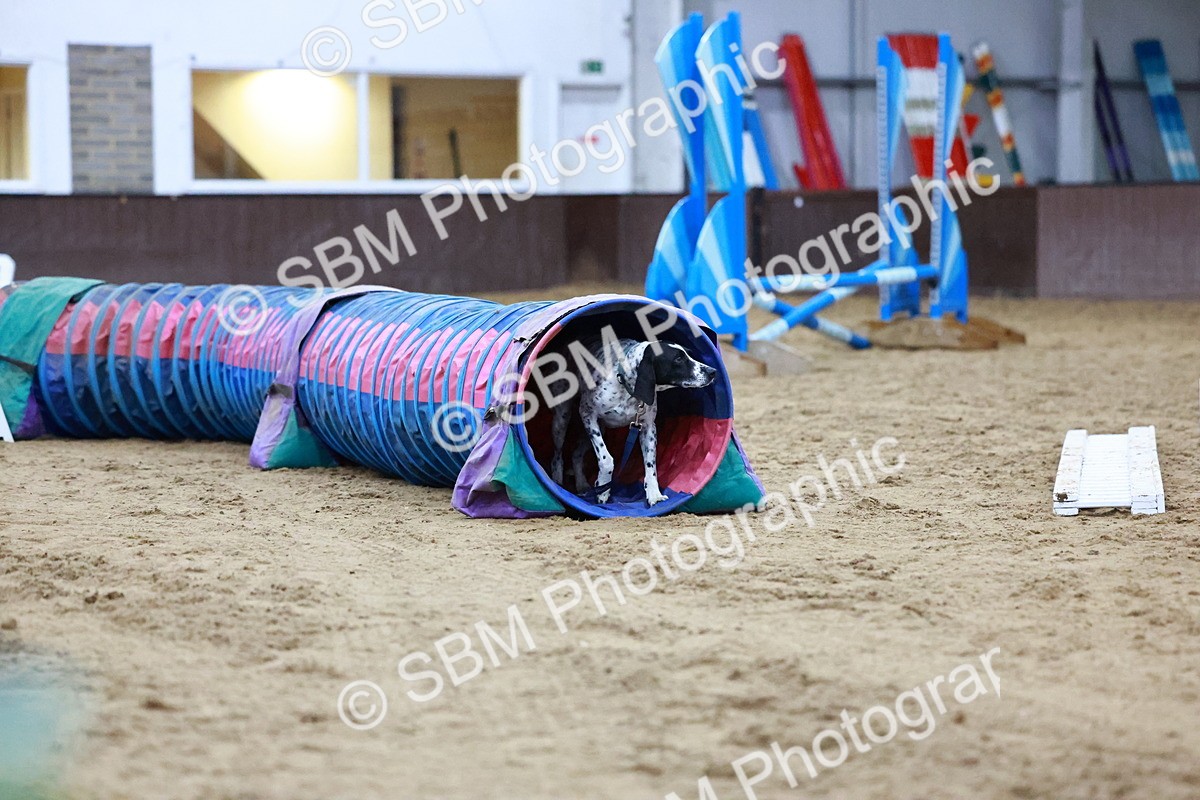 SBM_005456 - Evening Performance