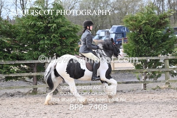 BPP_7408 - RING 1  (RIDDEN HORSES / IN HAND / VETERAN ETC)