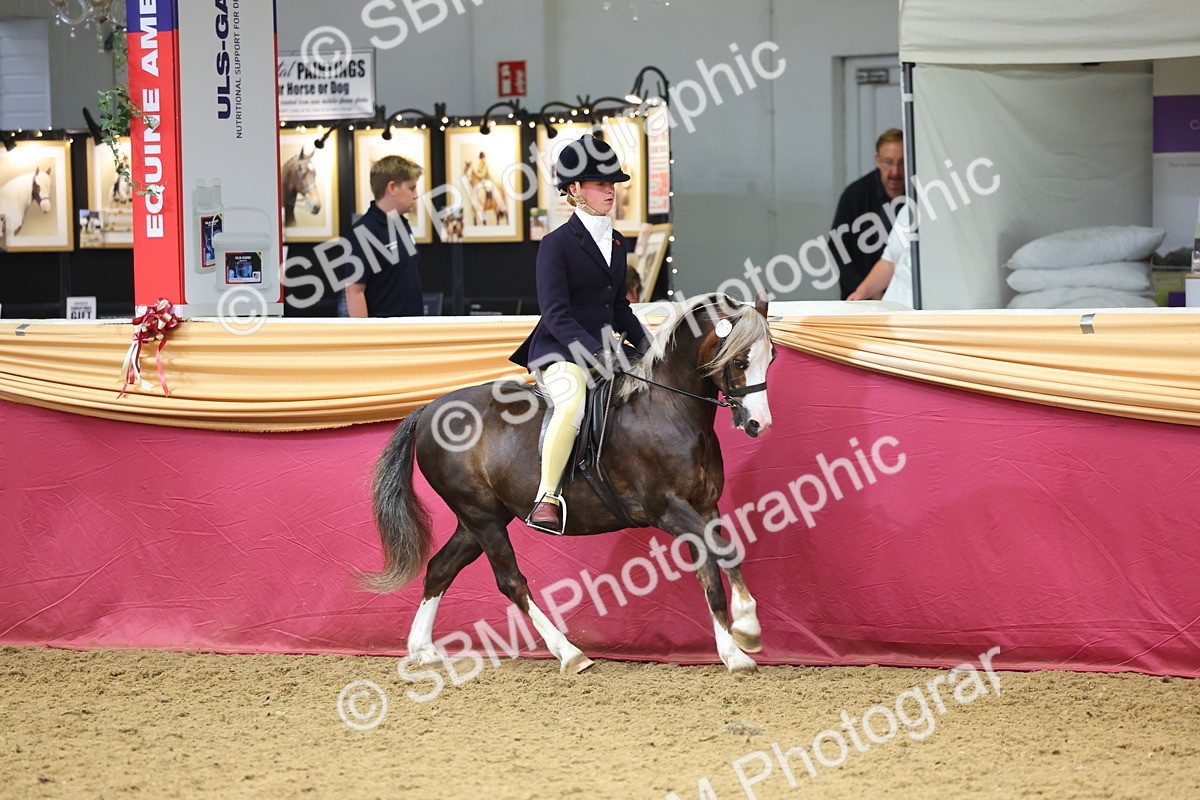 SBM_23502 - Class 904 - Supreme Final Ridden Diamond