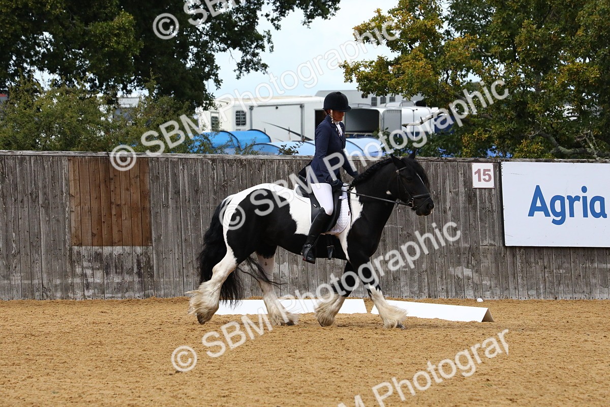 SBM_21016 - D5 - Small Tour Championshop Intro 2