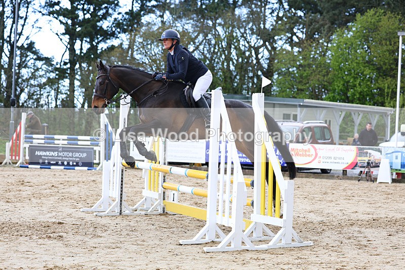 3E7A0680 - Class 4: Senior British Novice/90cm open