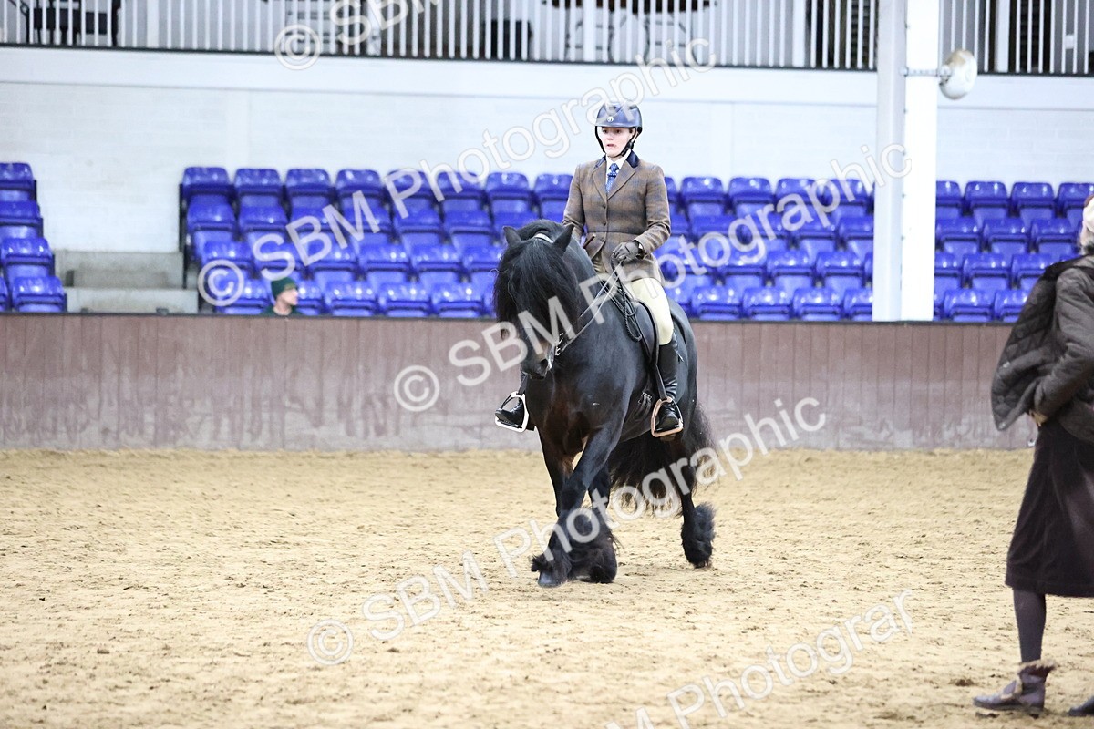 SBM_6548 - Class 43 - Ridden Native Breeds