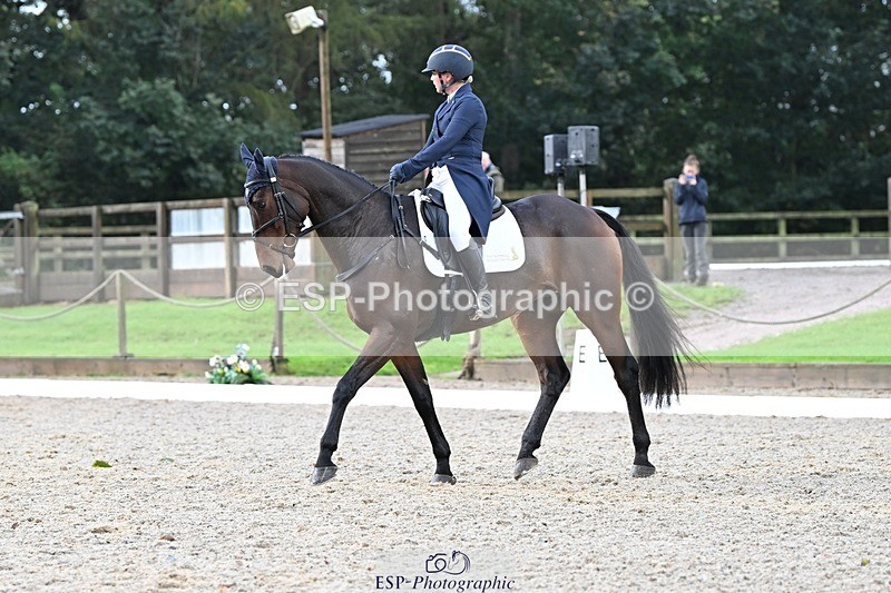 231019-100231-01313 - 030-MONBEG.SHELBY-Kat.Raybould-DR