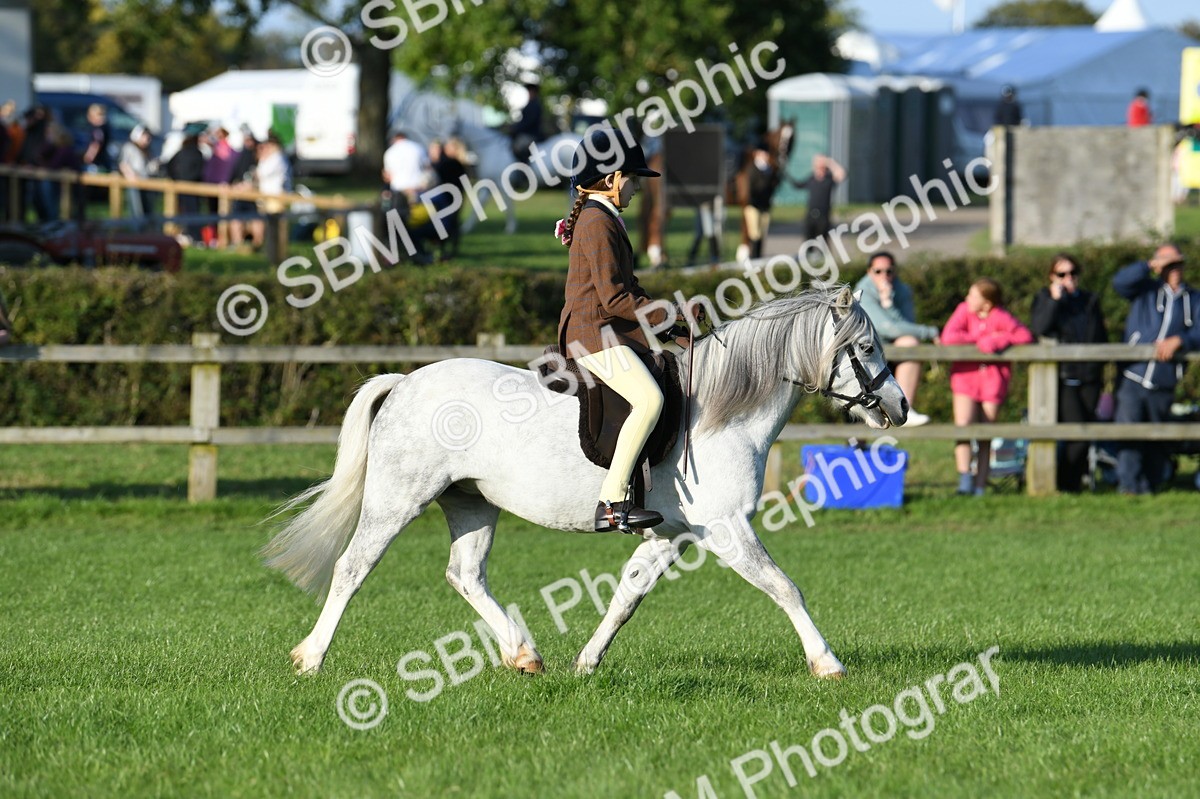 SBM_54109 - S23 - 1st Ridden Mountain & Moorland Pony