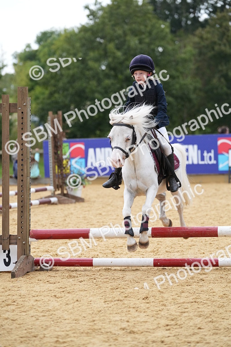SBM_74628 - J4 - Mini Tour Junior Pony 45cm Championship