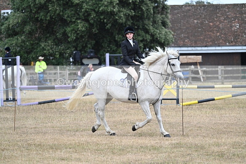 WJ7_0960 - Class 7 Riding Club Show Horse
