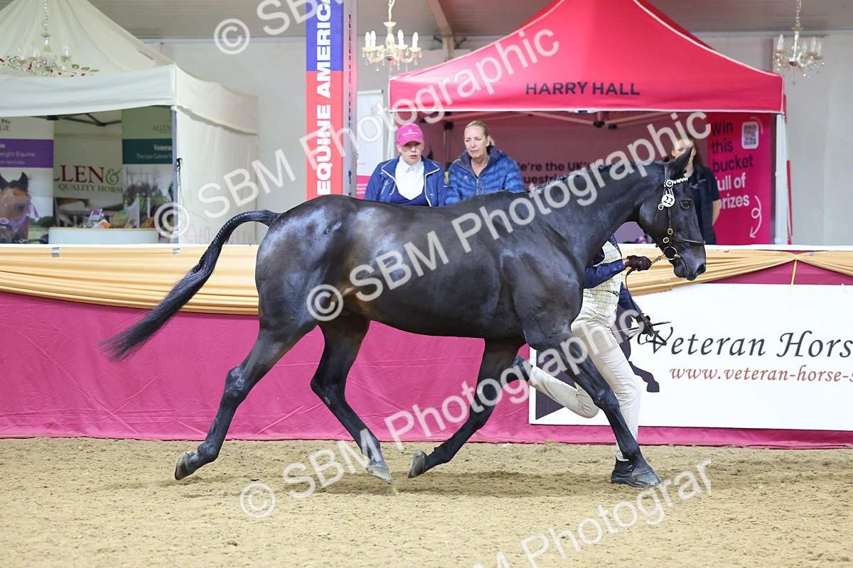 SBM_20779 - Class 902 - Supreme Final IH Veteran