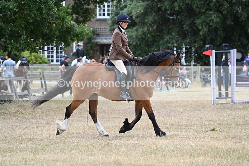 WJ7_0514 - Class 6 Ridden Mountain and Moorland