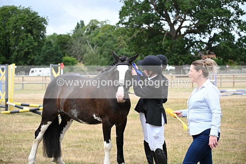 WJ6_4464 - Class 10 Coloured In-hand