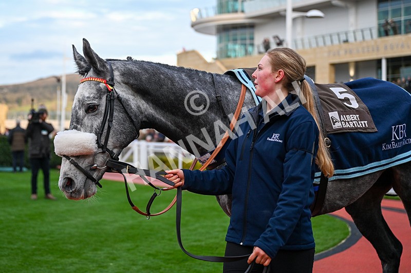 141224-Race 6-Clondaw General-0805 - Race 6