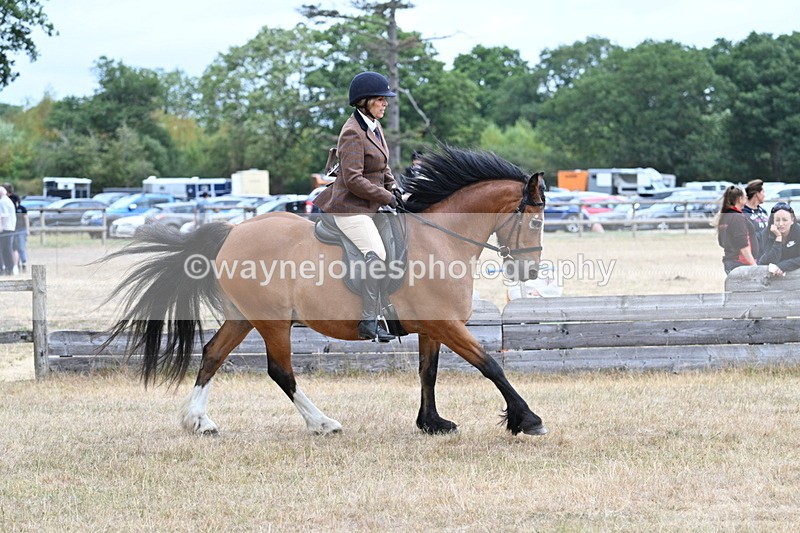 WJ7_0547 - Class 6 Ridden Mountain and Moorland