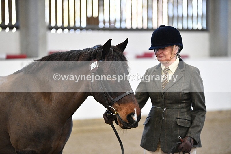 WJ5_3560 - Class 5 In Hand Veterans