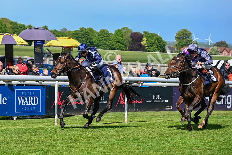 120526-Race 3-Merlier-7808 - Race 3 3.30pm Bowel Cancer Screening Programme Saves Lives Selling Stakes