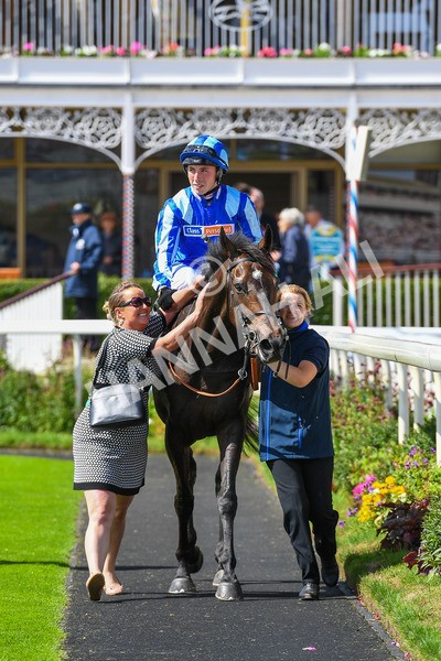 150723-Race 3-Pride of America-0332 - Race 3 3.10pm John Smith's Cup Handicap