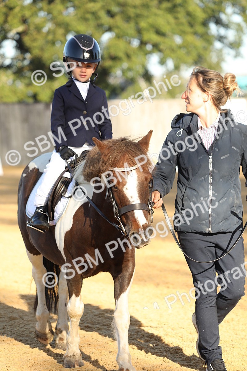 SBM_33692 - D26 - Starers - Lead Rein