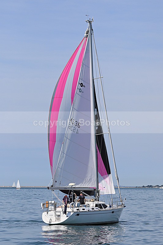 190601 GIGI - OYSTER 45 1Y3A8807 - 190601 GIGI GBR4536 - OYSTER 45