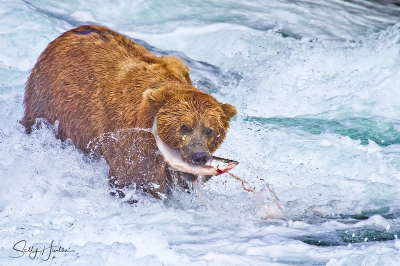 Good Catch