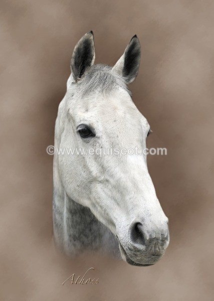 AthossV1  - 12GIFT2013