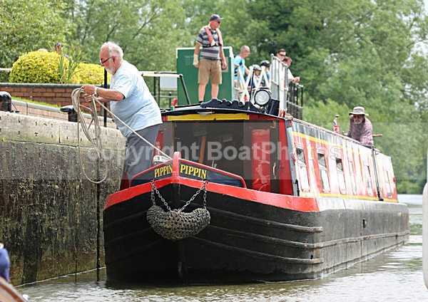 120628 PIPPIN WT7A9878 - HENLEY ROYAL REGATTA Thurs 28th June 2012