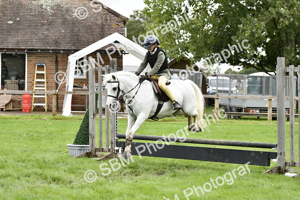 SBM_41279 - S32 - Mountain & Moorland Working Hunter Pony