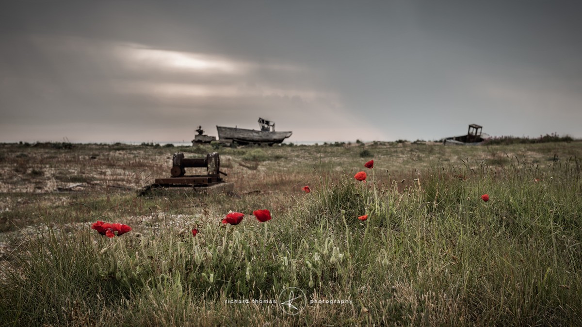 Marooned - Dungeness