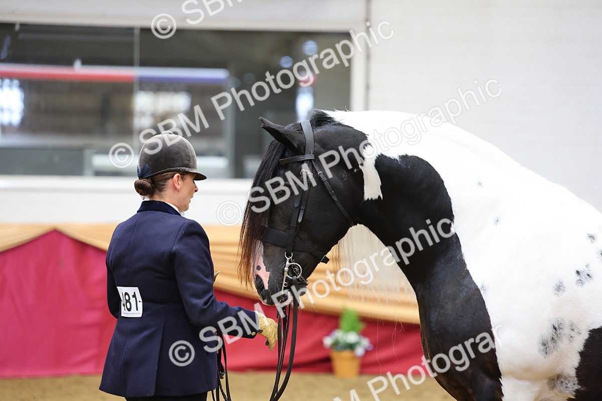 SBM_22757 - Class 903 - Supreme Final - IH Pre Vet