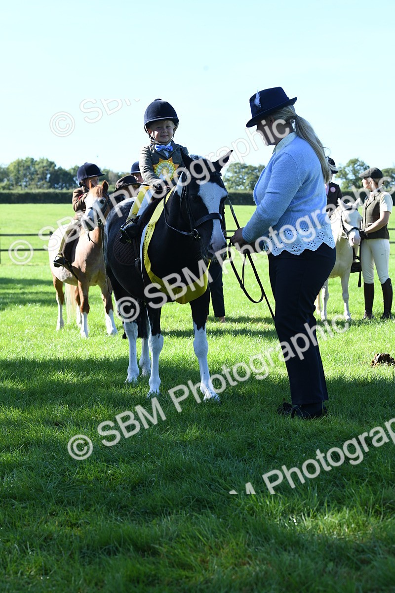 SBM_37033 - S18 - Novice & Newcomers Lead Rein Pony