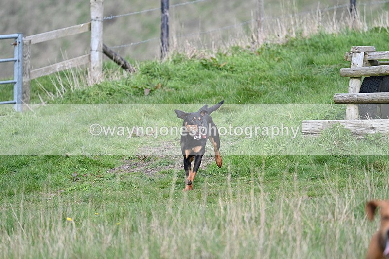 WJ7_8036 - Line 2 A camera