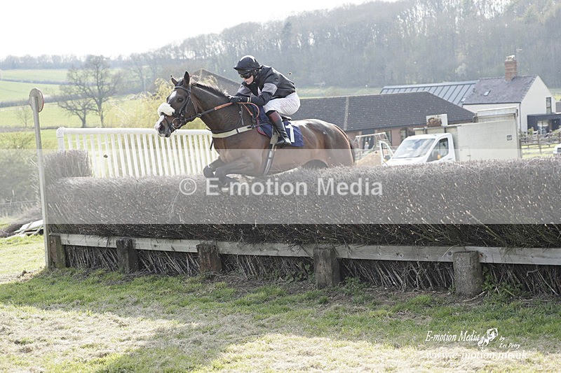 PtP 080423 783 - Dingley Races The Woodland Pytchley Hunt PtP 08/04/23