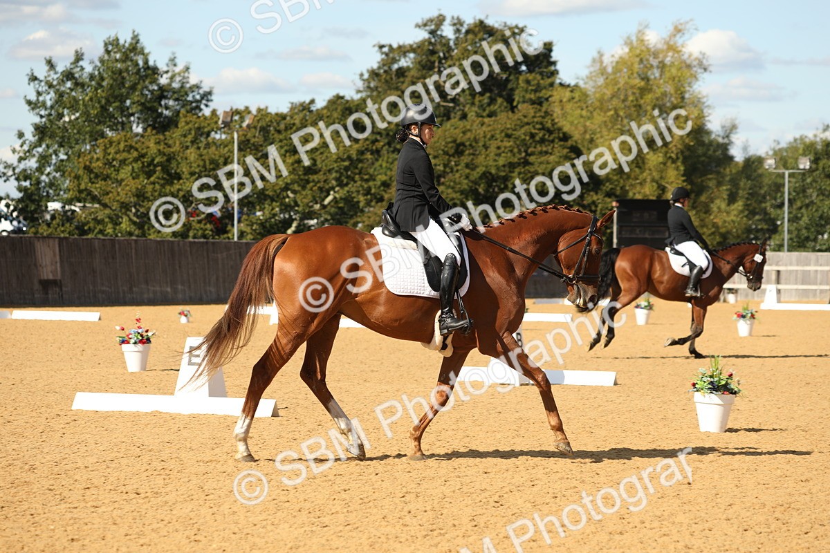 SBM_24629 - D17 - Grand Tour Championship - Novice 27