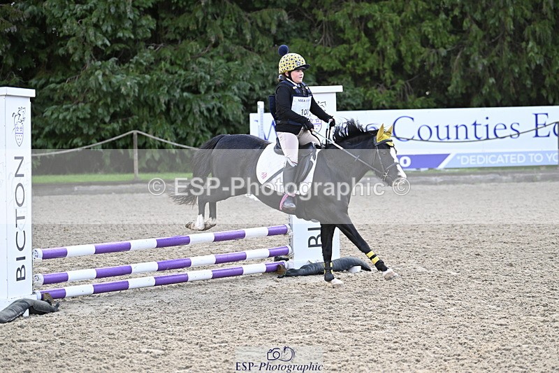 251005A-085819-02902 - Cls 02 GR 50cm