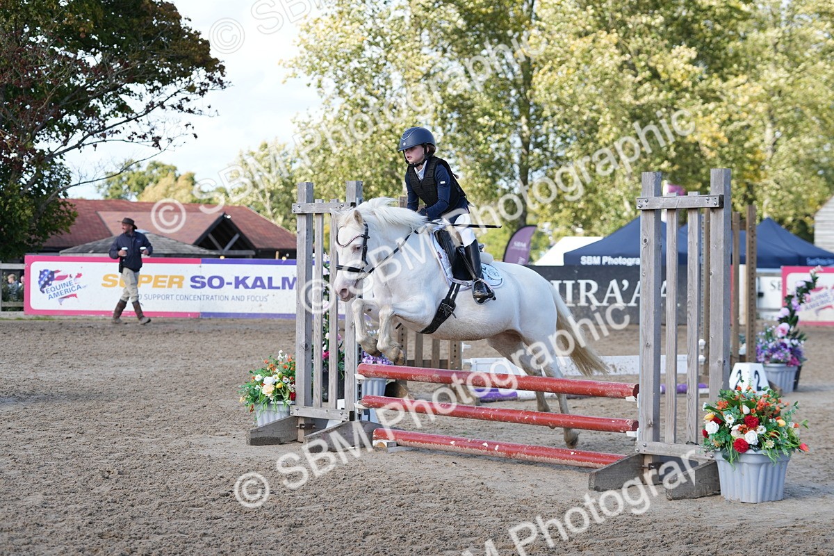 SBM_46557 - J7 - Junior Pony 60cm Championship
