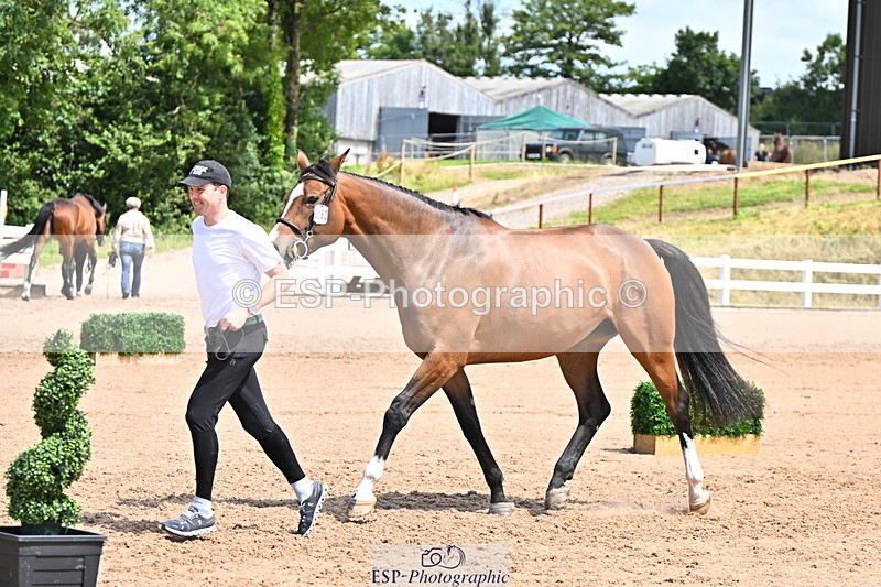 240718A-105257-01363 - Trot Up 12pm to 1pm