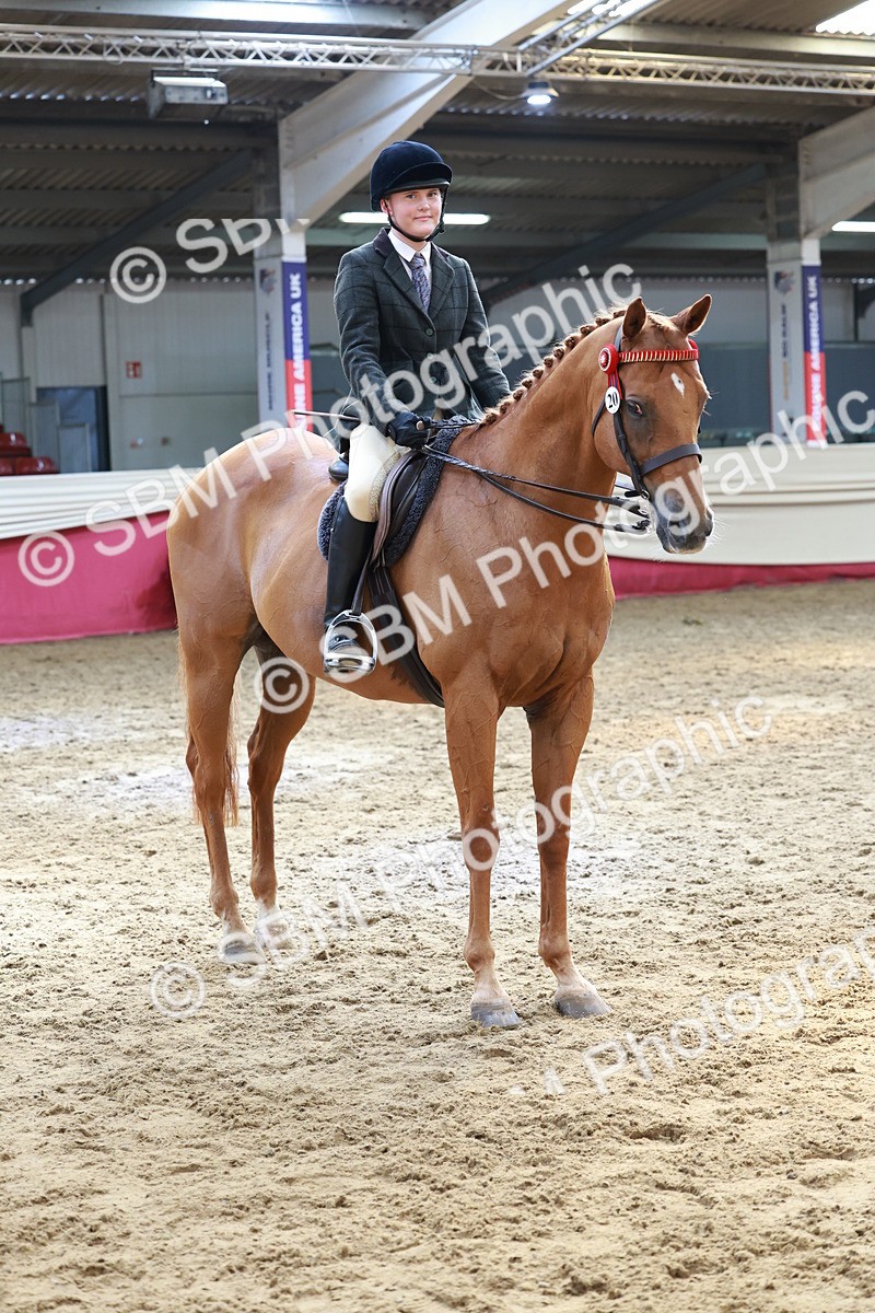 SBM_14973 - Class 108 - Ridden Retired Racehorse
